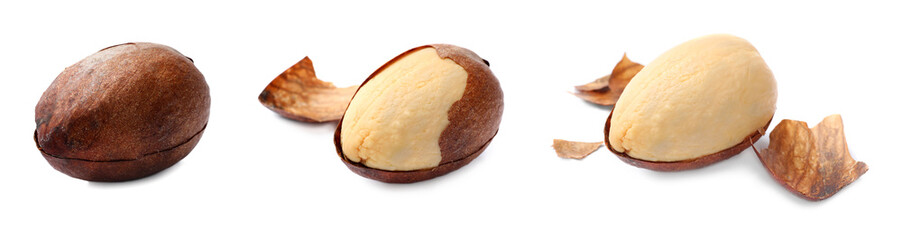 Set of avocado seeds on white background