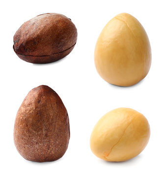 Set of avocado seeds on white background