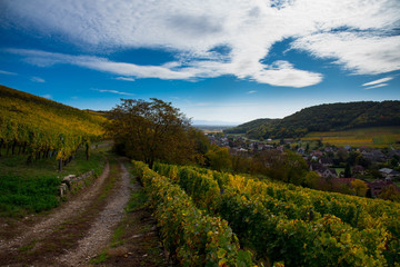 Westhalten im südlichen Elsass im Herbst