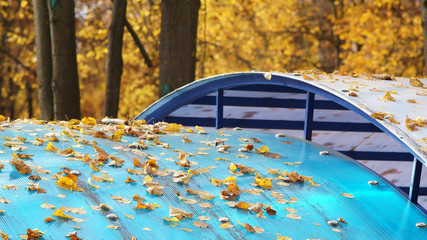 blue domed roof dotted with yellow leaves