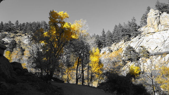 Colorado Rockies bei Boulder / Denver. Herbst / Fall / Indian Summer