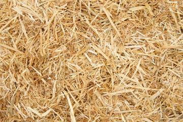 Beige straw hay background top view