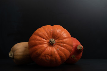 Autumn orange Pumpkin Thanksgiving Background