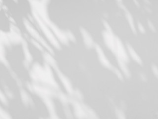 Naklejka premium abstract shadow of the leaves on a white wall background