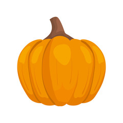 autumn pumpkin food isolated icon vector illustration design