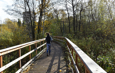 Young woman running the park. Wooden bridge and flooring with railing. Autumn sunny weather, yellow birch leaves forest. Active sport and fitness outdoors