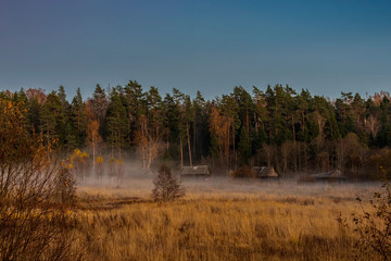 Rural landscape at dusk with fog