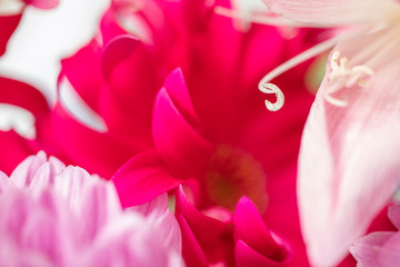 Colorful Flower leaves in bouqet of flowers