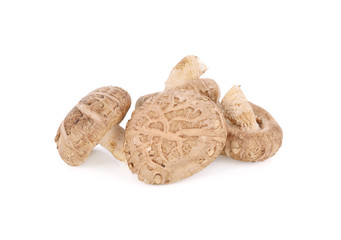 whole fresh shitake mushroom on white background