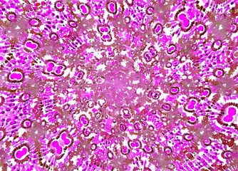 watercolor digital graphic kaleidoscope abstract background 