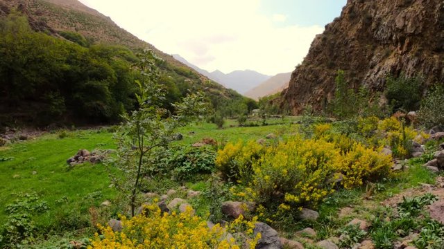 High Atlas Mountains in Marrakech, small trees swaying in the wind in valley, loop able  