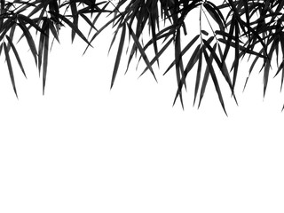 black and white bamboo leaf on white background