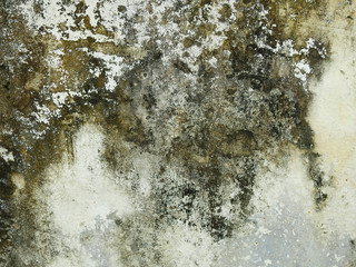 mold on concrete wall texture - 296562939
