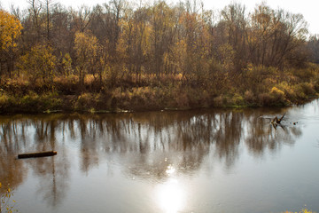 Fototapeta premium autumn river in a russian village