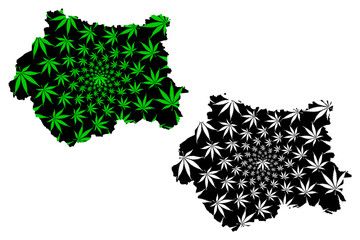 West Yorkshire (United Kingdom, England, Metropolitan county) map is designed cannabis leaf green and black, West Yorkshire map made of marijuana (marihuana,THC) foliage....