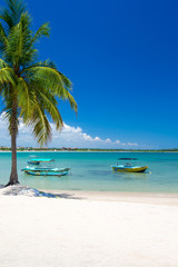 Beach with palm trees and sky. Summer vacation travel holiday background concept.