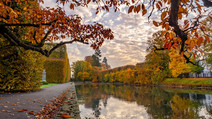 High hedge, clouds and its reflection in the pond at the Oliwa Park in the autumn scenery. - obrazy, fototapety, plakaty