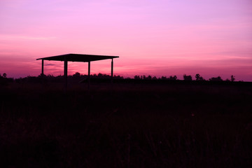 Fototapeta premium Evenine time in the countryside very good beautiful silhouette.