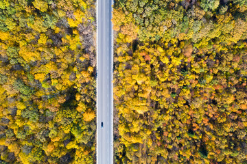 Aerial view of road in beautiful autumn forest. Beautiful landscape with  trees with red and orange leaves. Highway through the forest. Top view from flying drone. Autumn nature