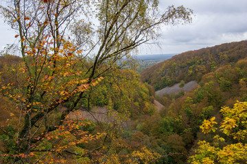autumn landscape with trees and blue sky