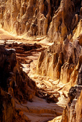 canyon, grands lavaka Ankarokaroka, Parc National Ankarafantsika, Madagascar