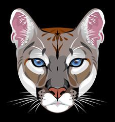 Vector portrait of Cougars, wild cat