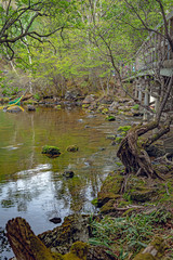 奥日光 湯ノ湖 湖畔の風景