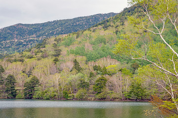 奥日光 湯ノ湖 湖畔の風景