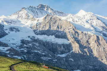 Fototapeta premium View of the Jungfrau peak from the Kleine Scheidegg pass, Bernese Alps, Switzerland