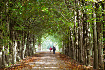People walking in the autumn forest with their dog. Fall season.