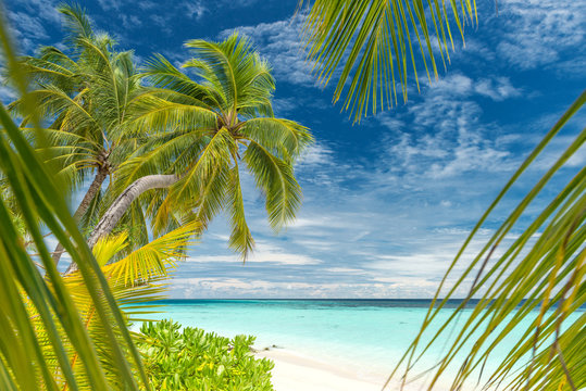 beach on the maldives