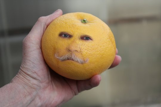 Fotomontage vom bitteren Gesicht einer Pampelmuse