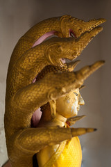 Obraz premium Gold Buddha Statue.