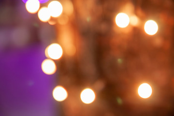 イルミネーションのライトがつけられた木　玉ボケ