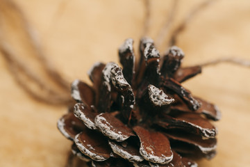  New Year cone. Forest cone. Wood background.