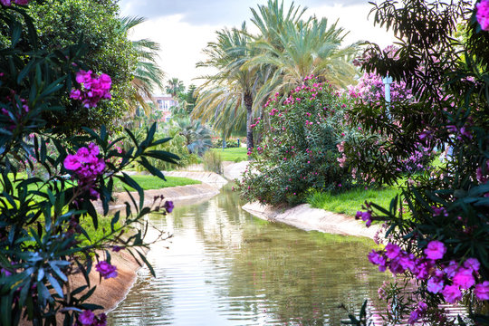 View of turia gardens situated in the spanish city Valencia. Valencia, Spain. Beautiful park in Europe