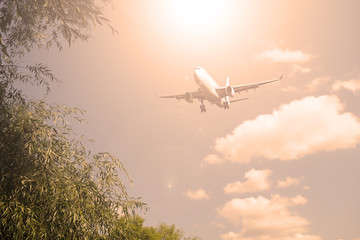 Passenger plane over green foliage. Sunset in the evening.
