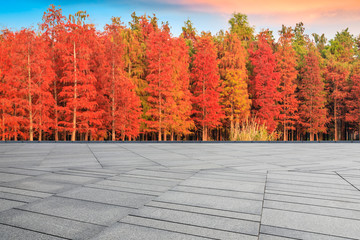 Empty square floor and beautiful colorful forest in autumn