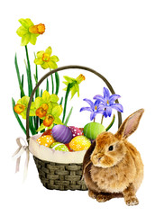 Cute rabbit near a wicker basket with colorful decorated eggs and blubells and yellow narcissi in the background hand drawn in watercolor isolated on a white background. Wonderful Easter illustration