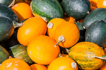 Goblin Eggs, Kürbis, Zierkürbis, Cucurbita Pepo, Dekoration, Hebst, Herbstfest, Herbstmarkt,...