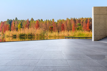 Empty square floor and beautiful colorful forest in autumn