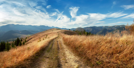 beautiful golden autumn in the mountains. rural road. natural background. autumn landscape