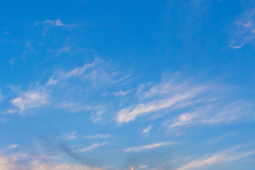 feather clouds in a bright blue sky, pine colors