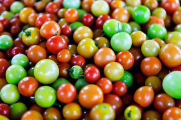 Fototapeta na wymiar Marktfrische kleine Tomaten