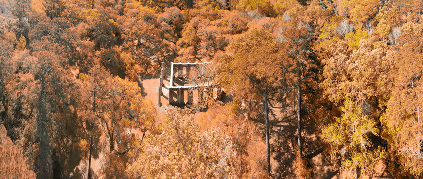Old Sheldon Church near Beaufort, South Carolina. Aerial view with forest trees