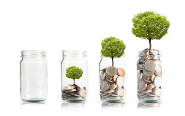 Money coins and tree growing in jar. Profit on deposit in bank and dividend for stock investment...