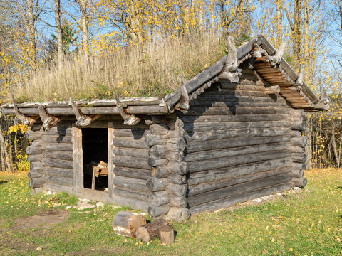 picture with old log house and grass roof, autumn day