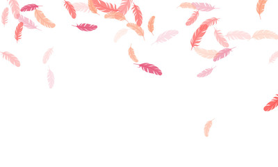 Detailed majestic feather on white design.