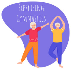Exercising gymnastic social media post mockup. Retired people. Healthy lifestyle. Advertising web banner template. Social media booster, content layout. Promotion poster, print ads, flat illustration