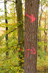 Russberg im Herbst _Deutschland 